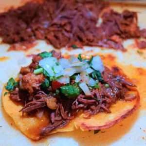 Birria Time
